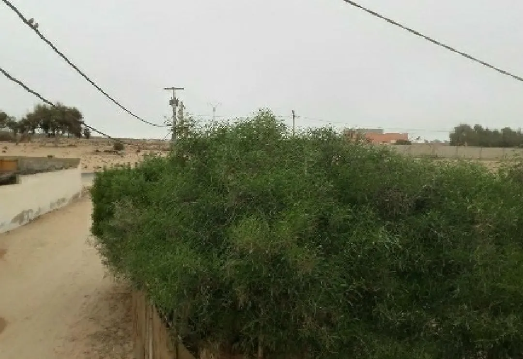 Maison Au Coeur Du Village Sidi Rbat Agadir